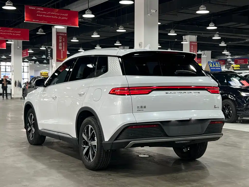 BYD SONGJIANG NEW ENERGY