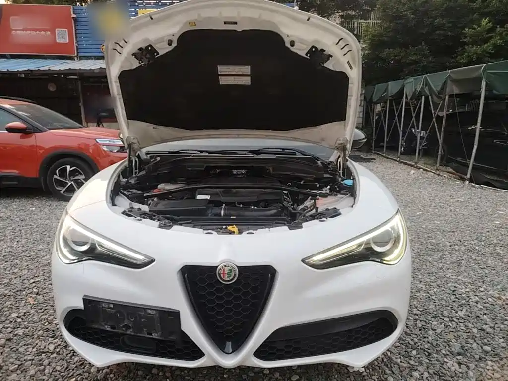Alfa Romeo Stelvio — миниатюра 20
