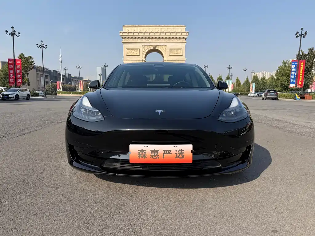 Tesla Model 3 — миниатюра 2