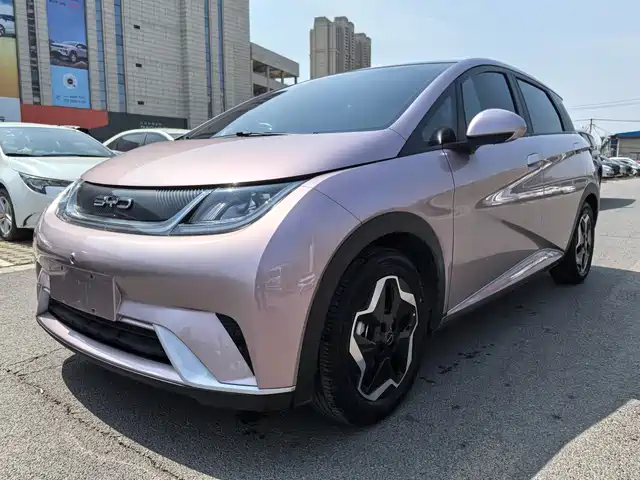 2022 BYD Dolphin
