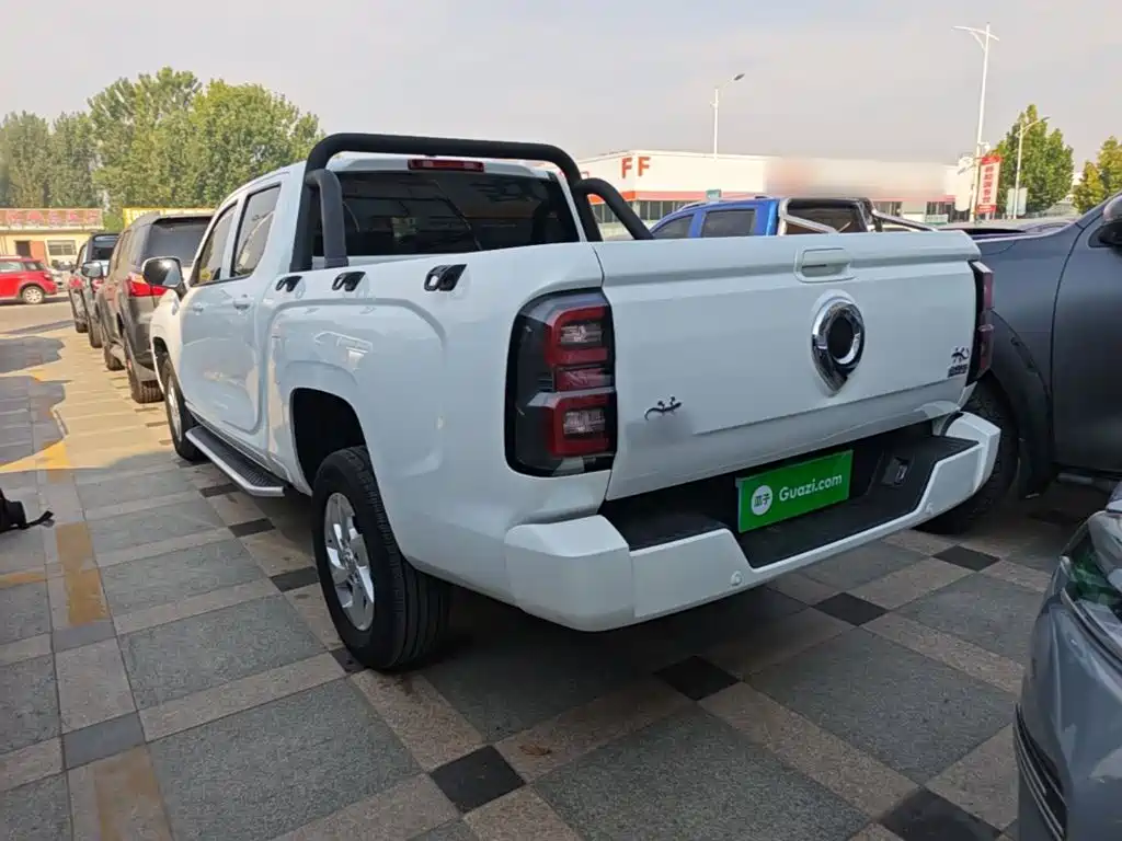Great Wall King Kong Pao — миниатюра 23