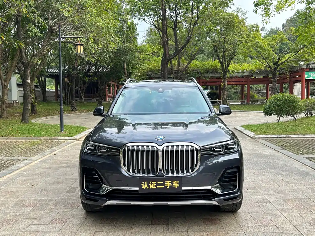 BMW X7 — миниатюра 2