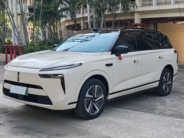 WEI PAI WEI BRAND BLUE MOUNTAIN 2025