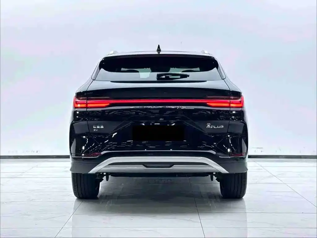 BYD PLUS New Energy — миниатюра 8