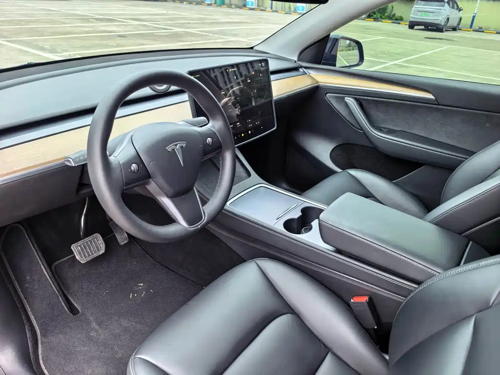 Tesla Model Y — миниатюра 11