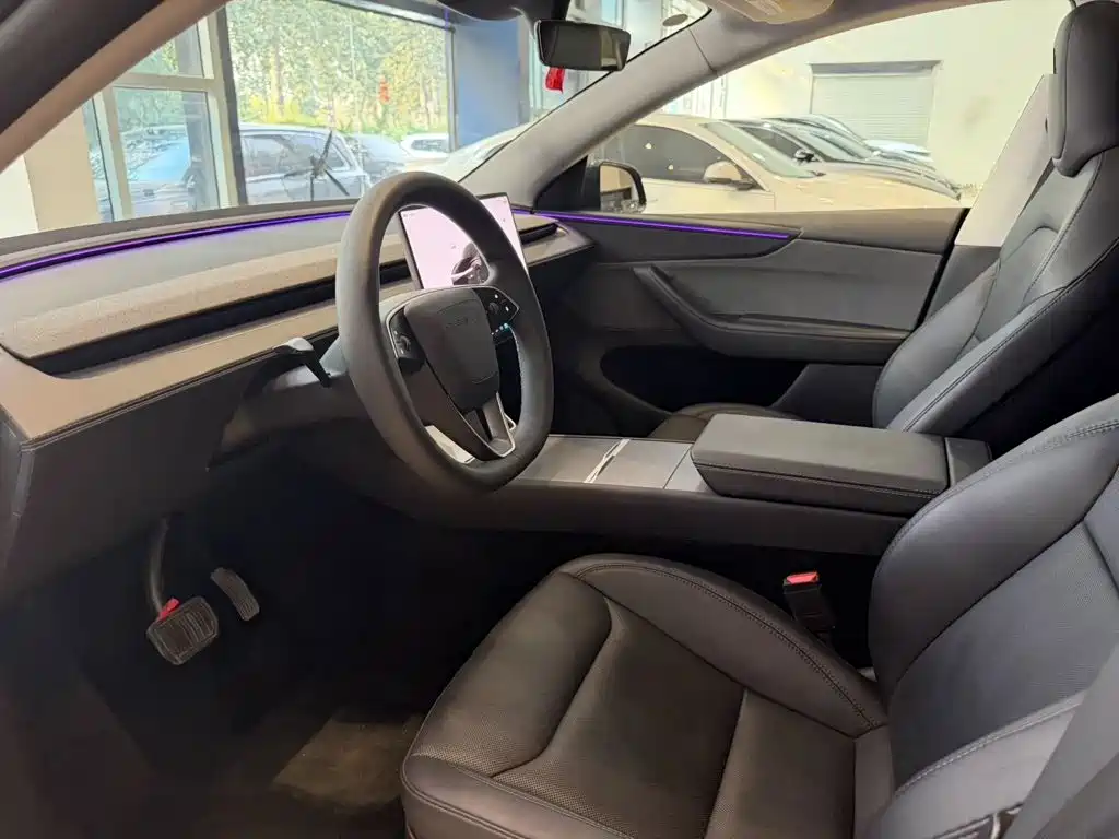 Tesla Model Y — миниатюра 4