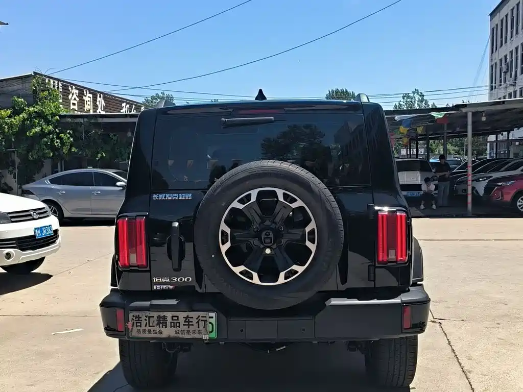Tank 300 2025 Hi4-T 36.7kWh