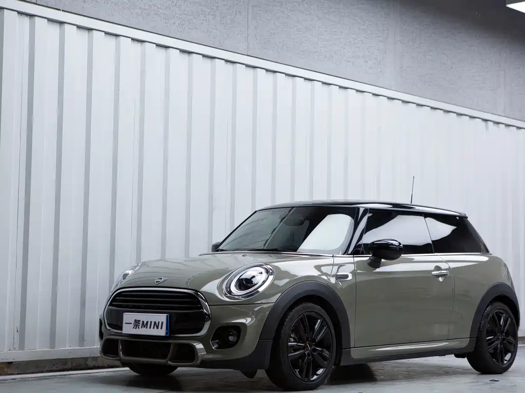 Mini Mini 2020