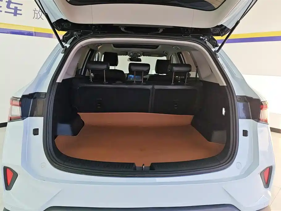 Wuling Xingchen 2022 2.0L DHT