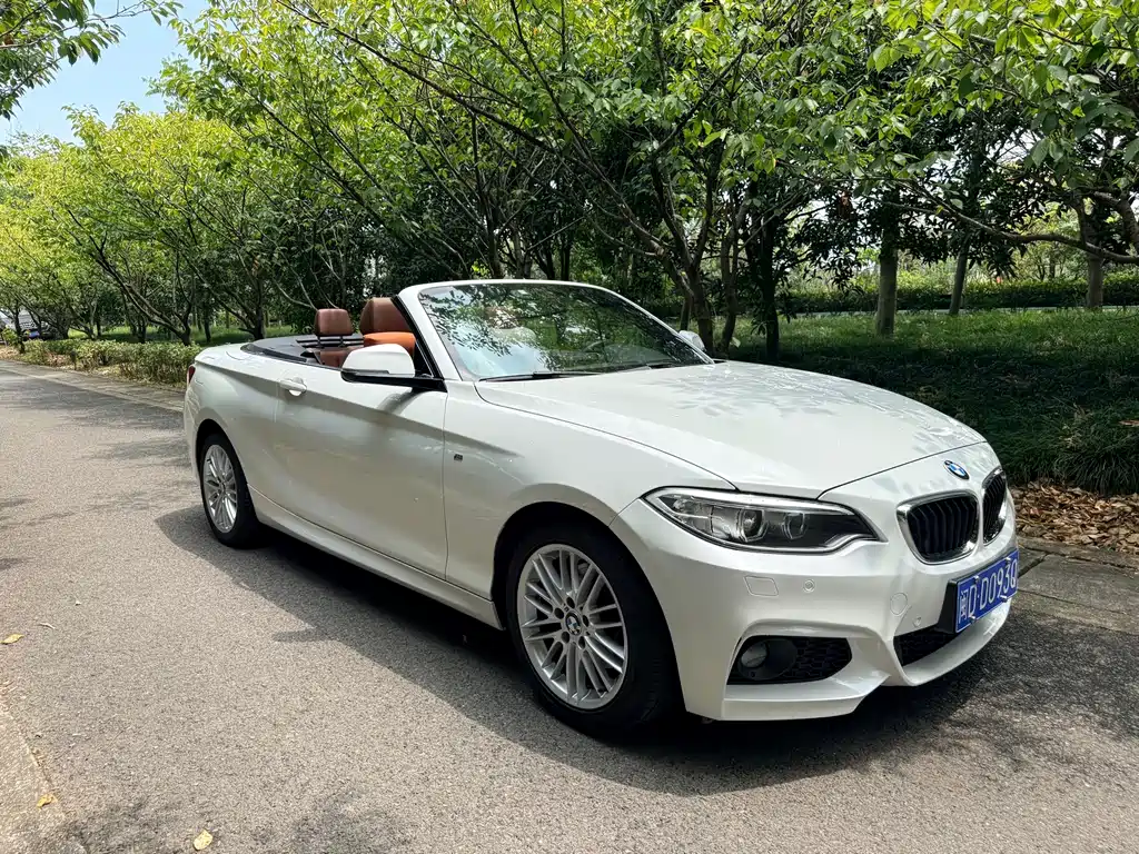 BMW 2 Series (Import) — миниатюра 9