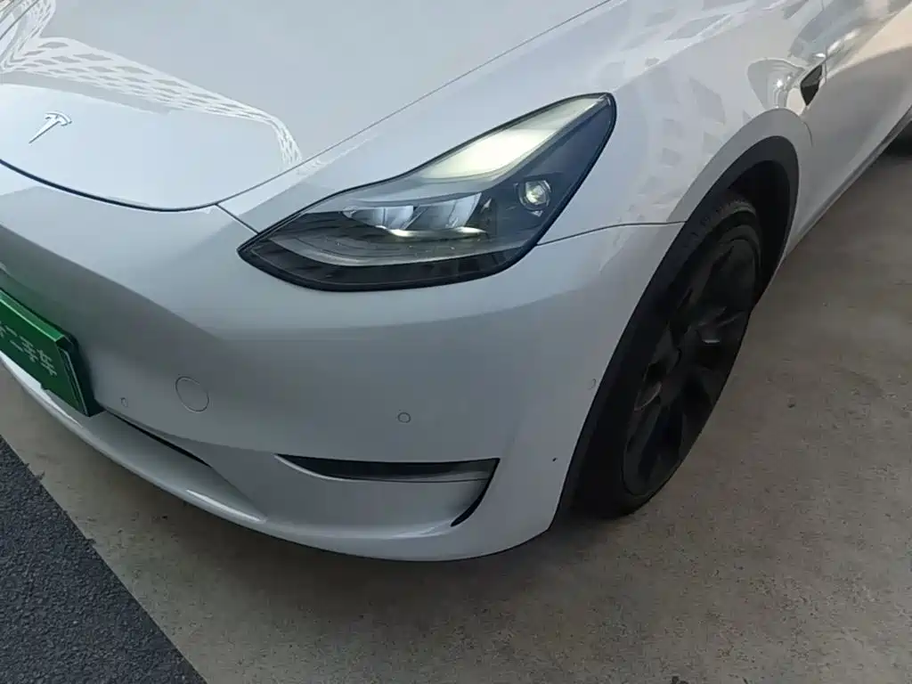 Tesla Model Y — миниатюра 24