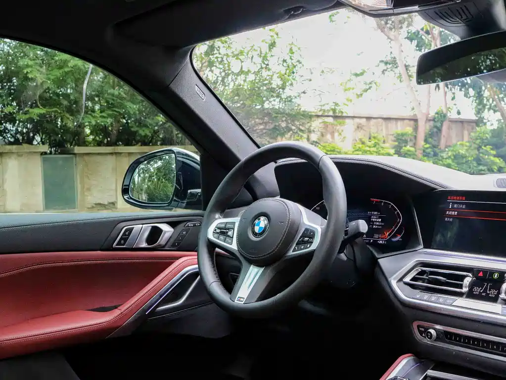 BMW X6 2021 xDrive30i M Sport