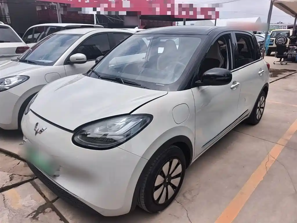 Wuling Binguo 2024 333km Delight
