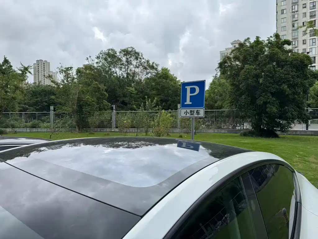 Tesla Model Y — миниатюра 7