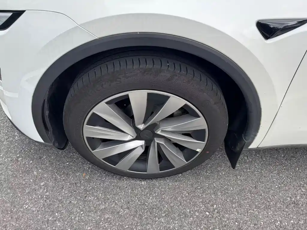 Tesla Model Y — миниатюра 13