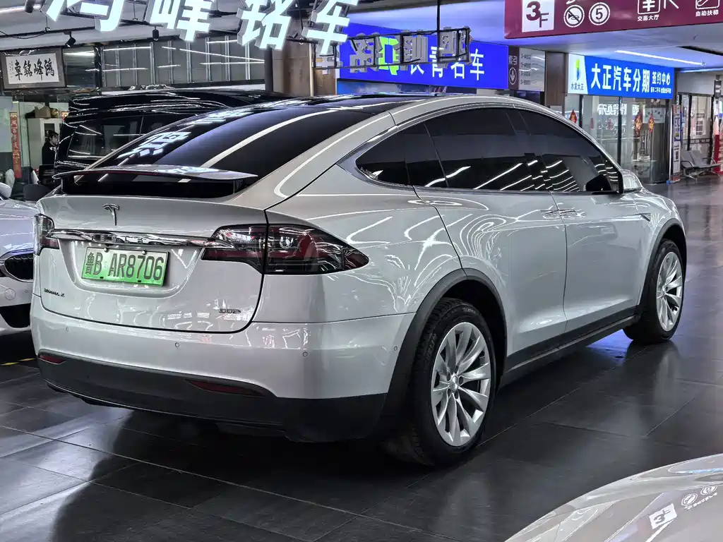 Tesla Model X — миниатюра 6