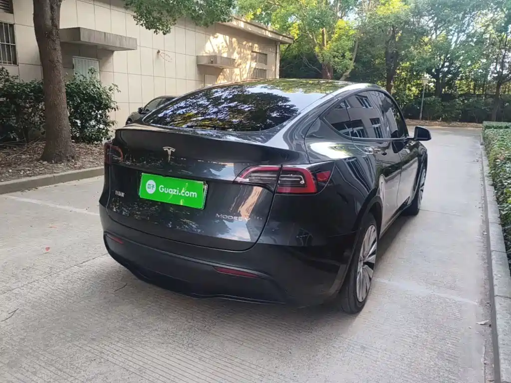 Tesla Model Y — миниатюра 7