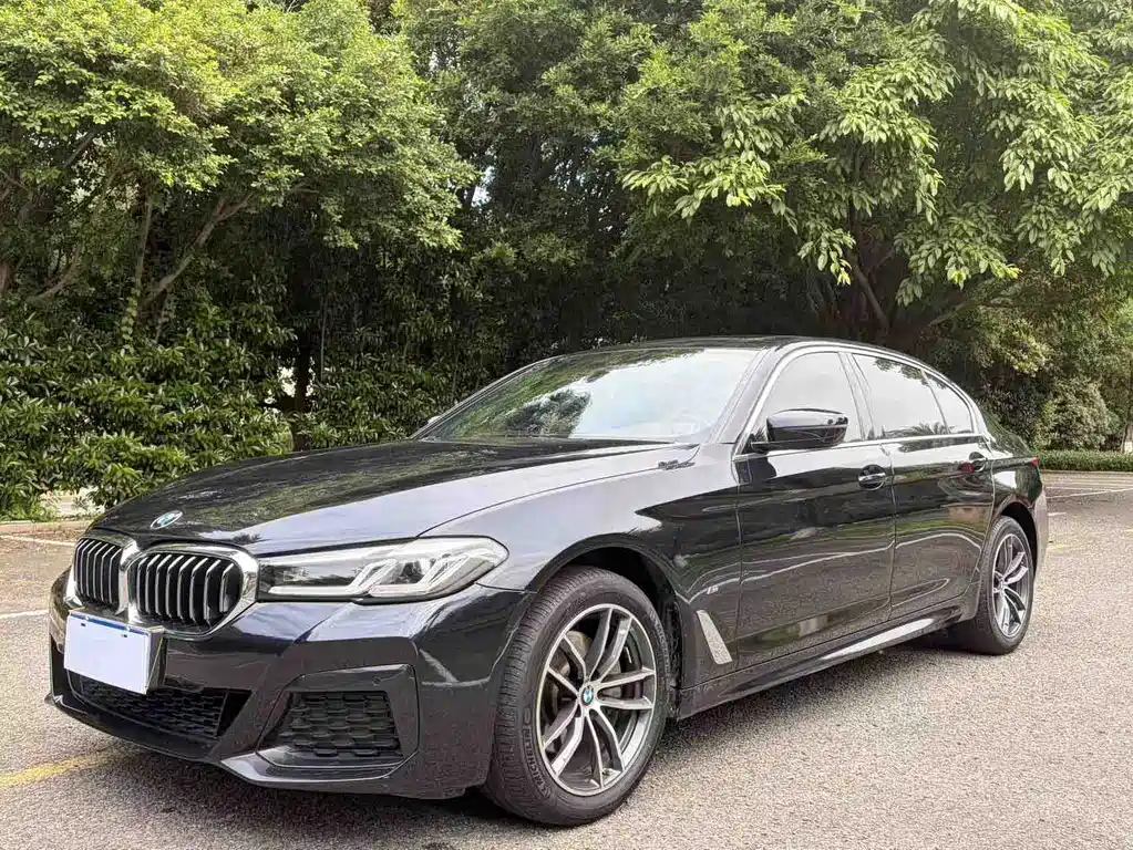 BMW 5 Series 2021