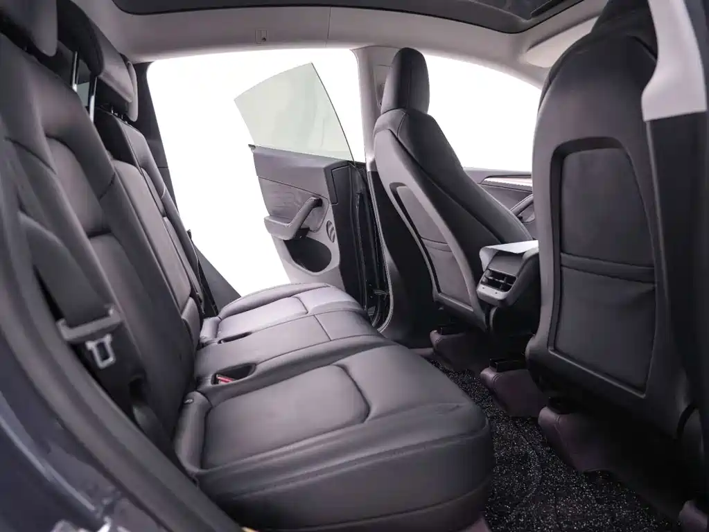 Tesla Model Y — миниатюра 23