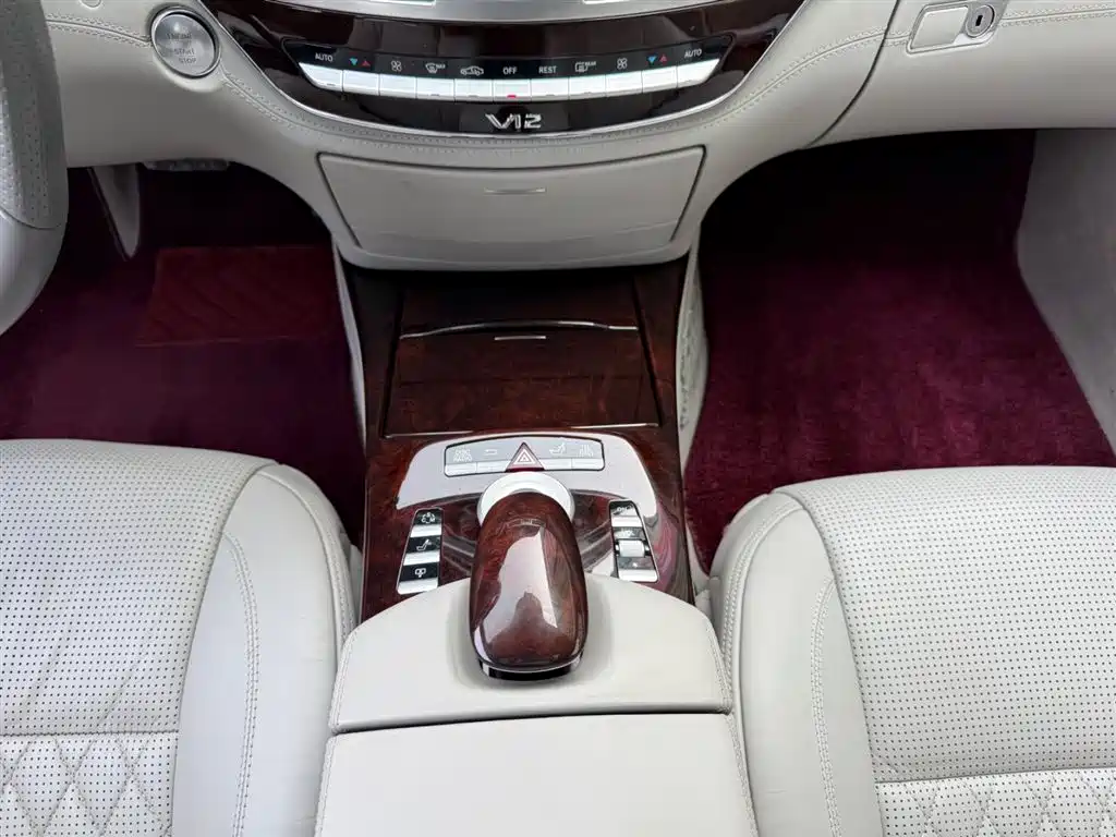 Mercedes-Benz S-Class A MG S AMG 2010 AMG S 65