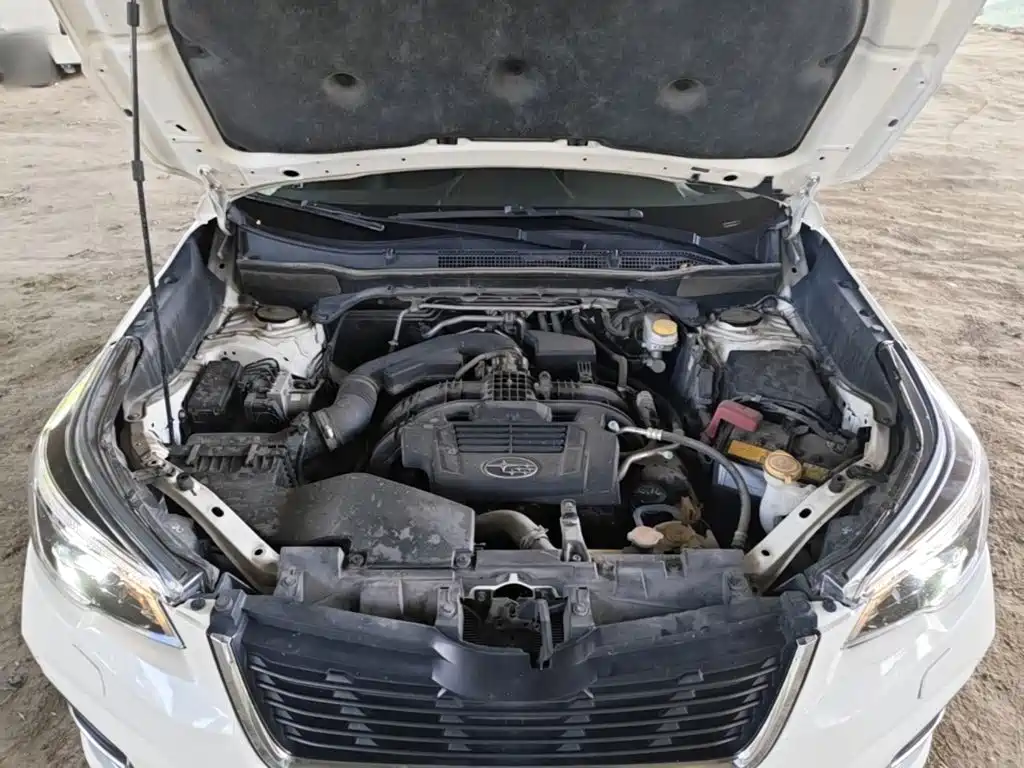 Subaru Forester — миниатюра 20
