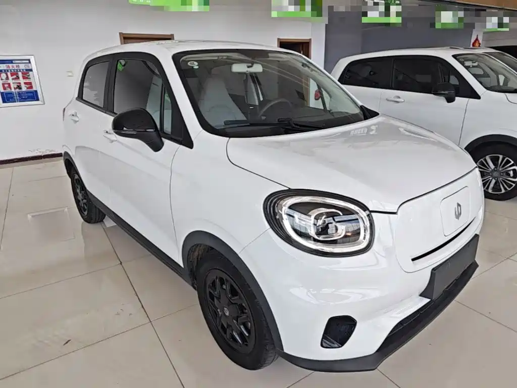 Leapmotor T03 2023 310