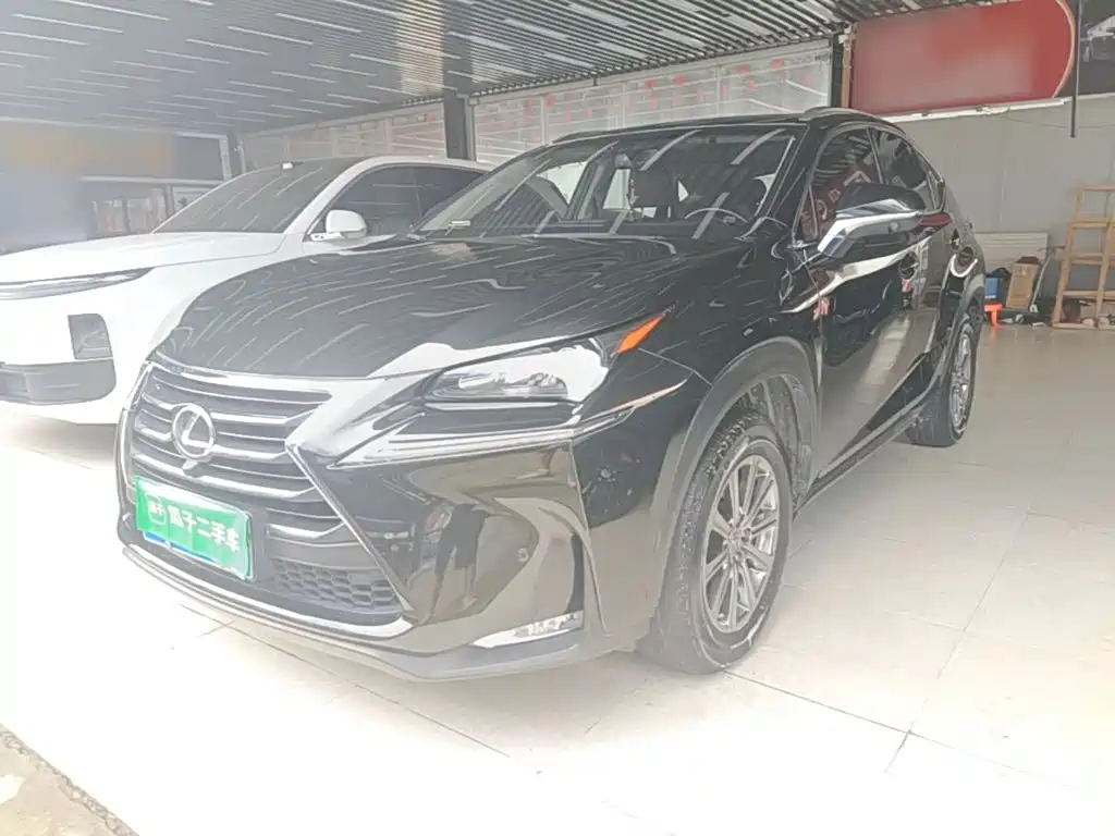 Lexus NX — миниатюра 2