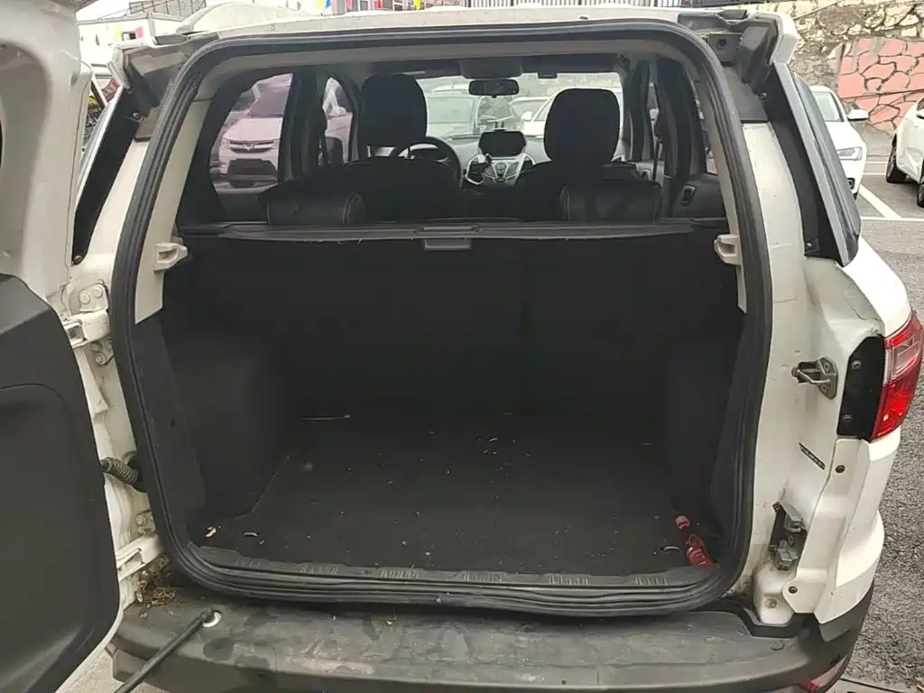 Ford Ecosport — миниатюра 19