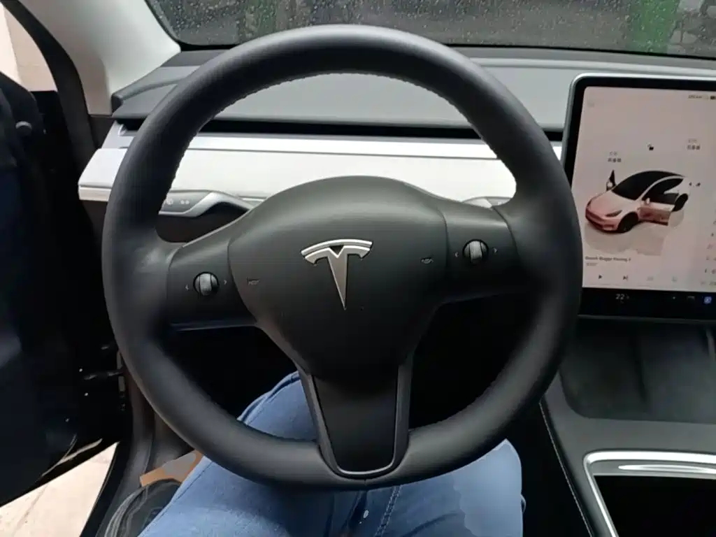 Tesla Model Y — миниатюра 11