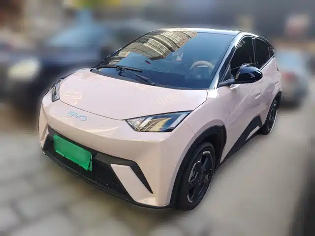 BYD Seagull
