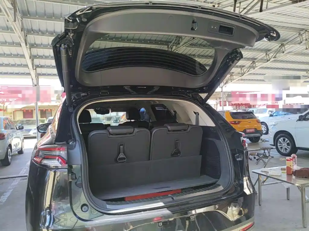 BYD Tang New Energy — миниатюра 19