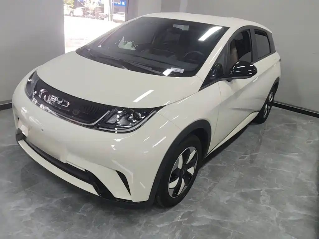 BYD Dolphin — миниатюра 2
