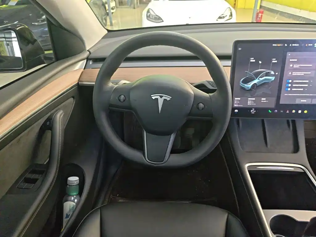 Tesla Model Y — миниатюра 11