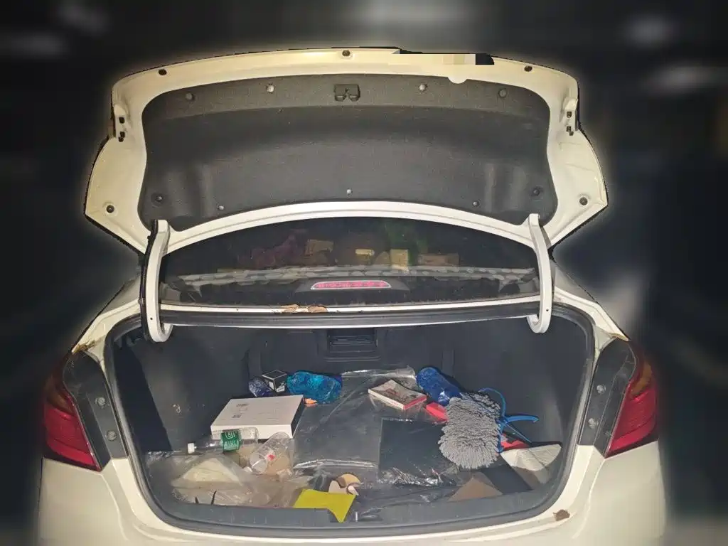 Hyundai Mistra — миниатюра 15