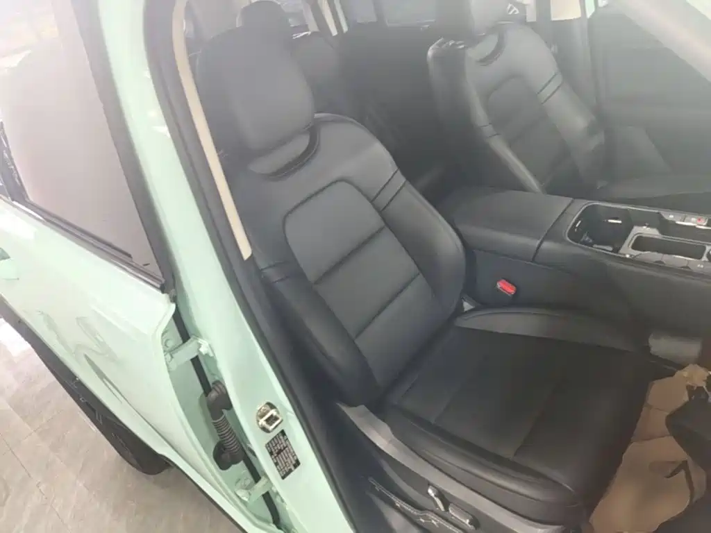 Haval Menglong New Energy — миниатюра 25