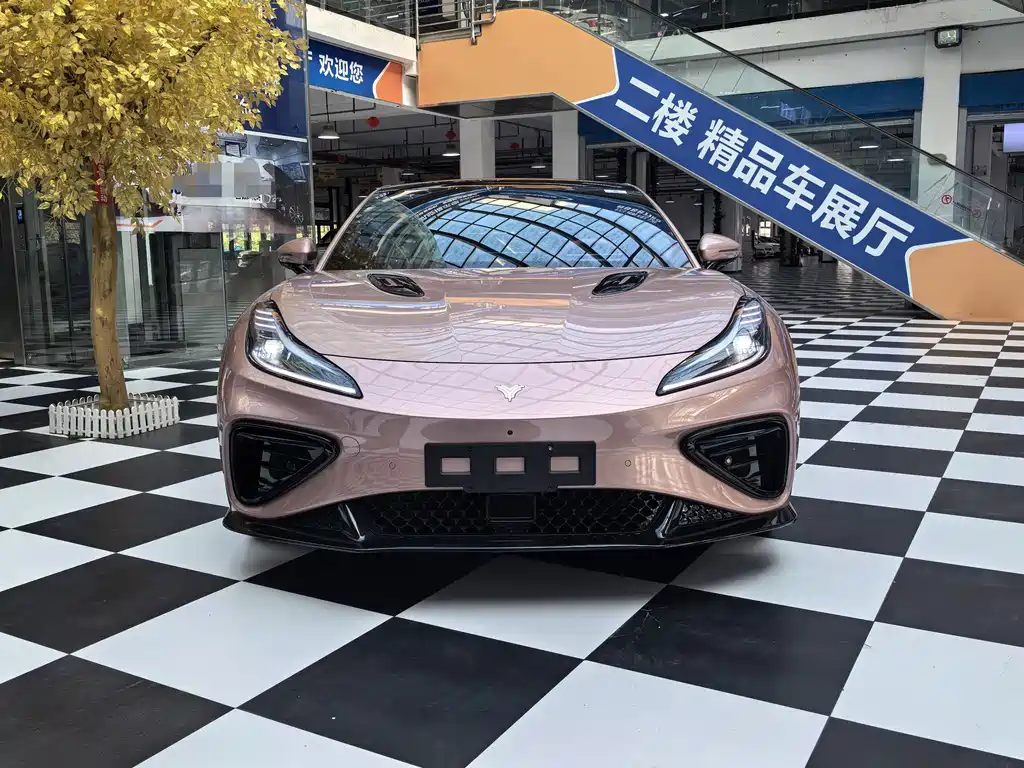 Neta Neta GT — миниатюра 2