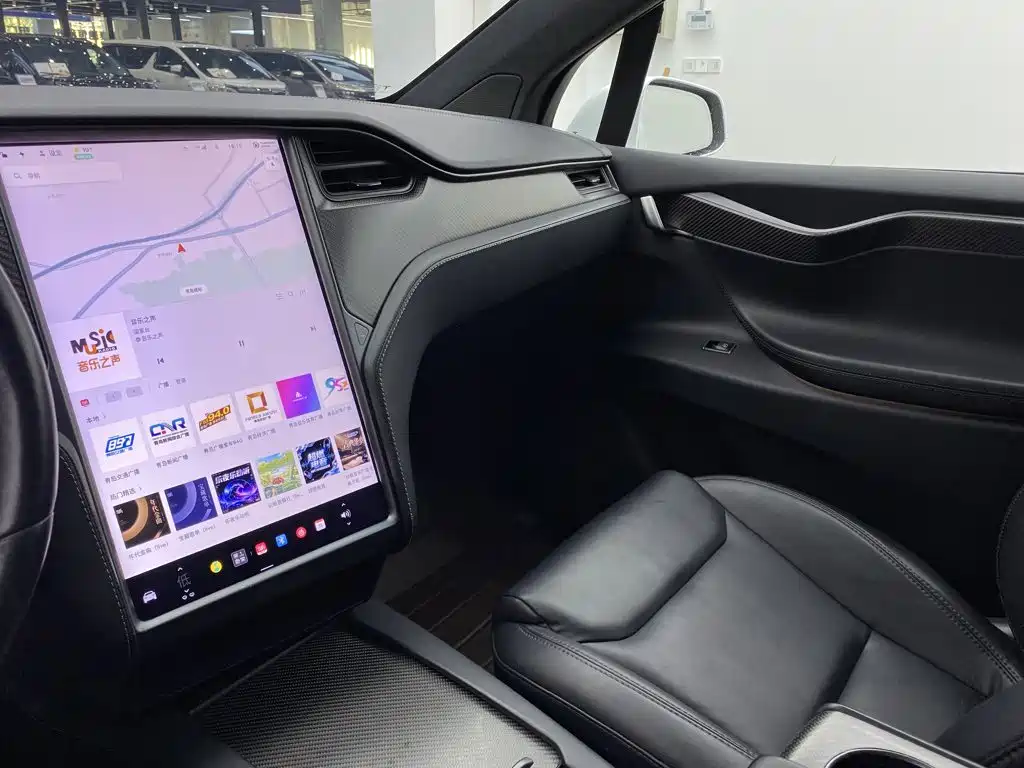 Tesla Model X — миниатюра 31