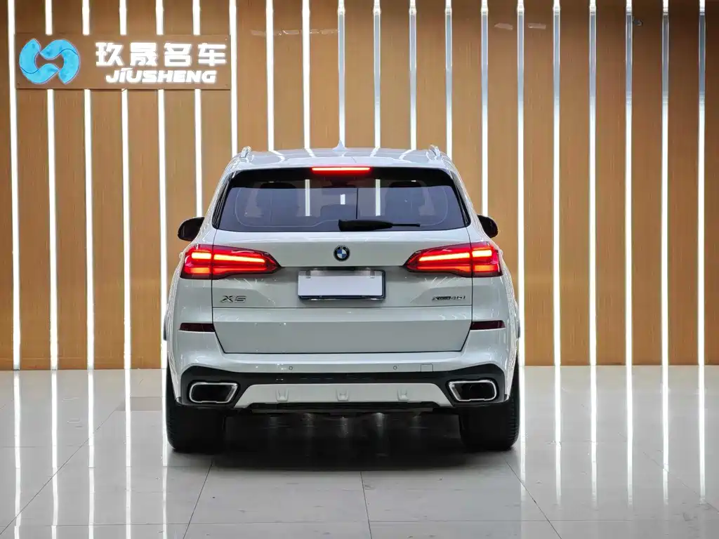 BMW X5 (Import) — миниатюра 13