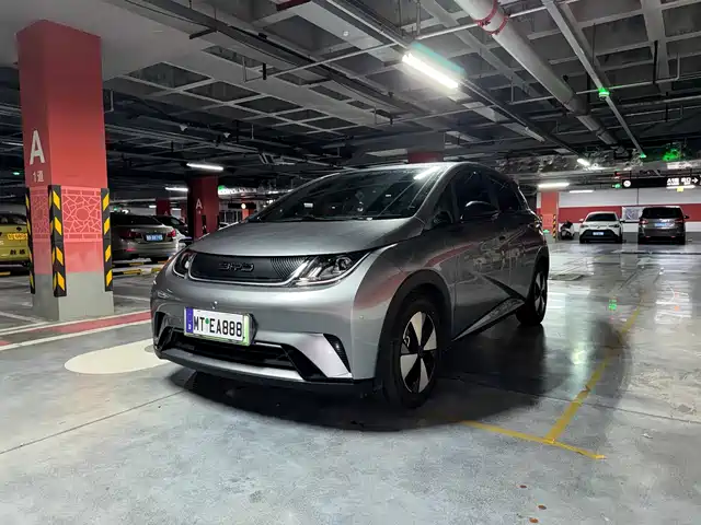 BYD 海豚