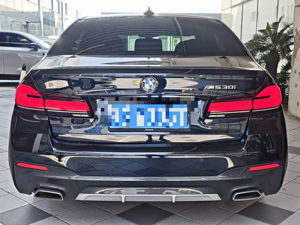 BMW 5 Series — миниатюра 5