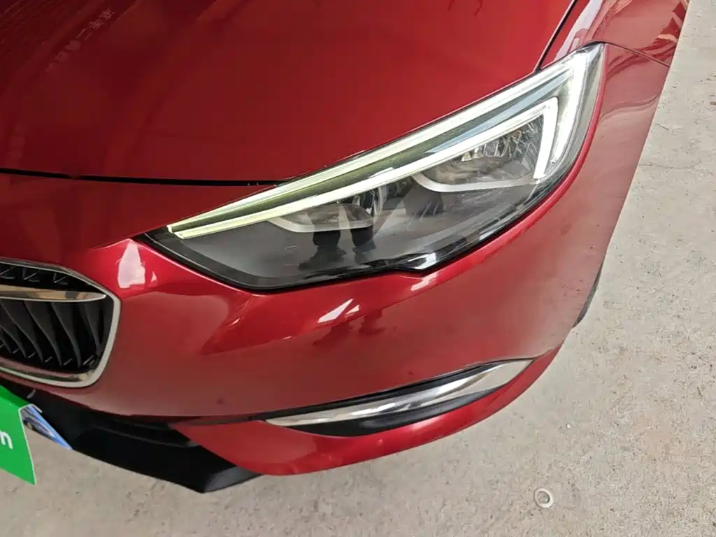Buick Regal — миниатюра 24