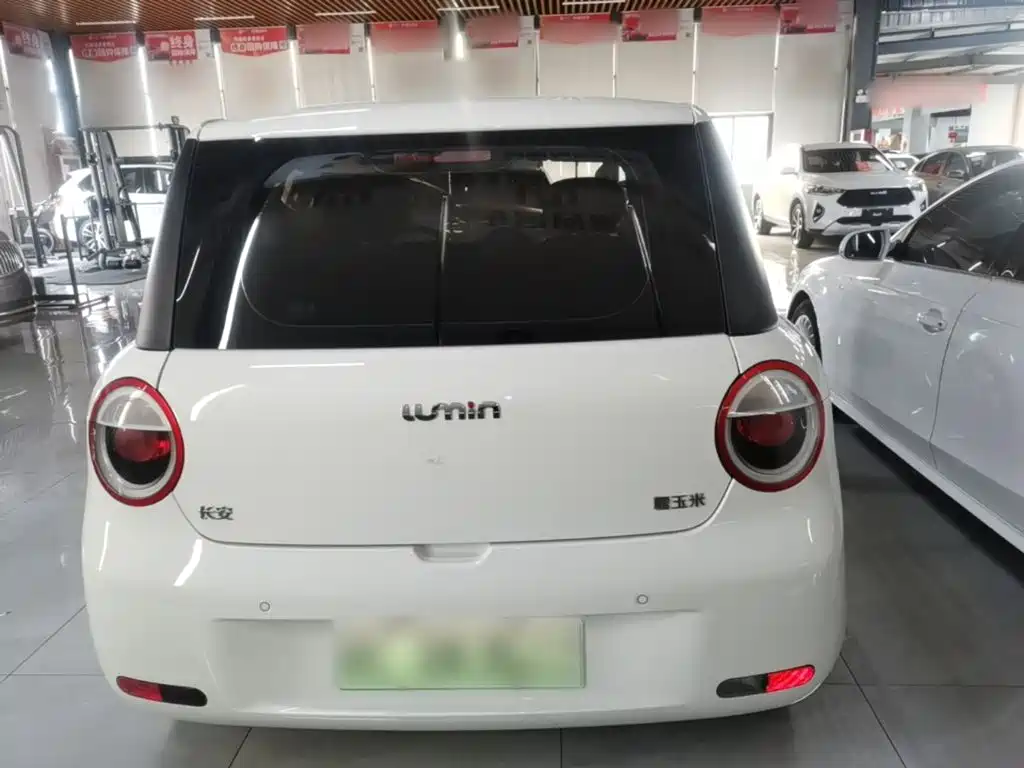 Qiyuan Lumin — миниатюра 6