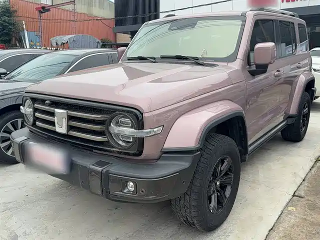 2022 TANK 300