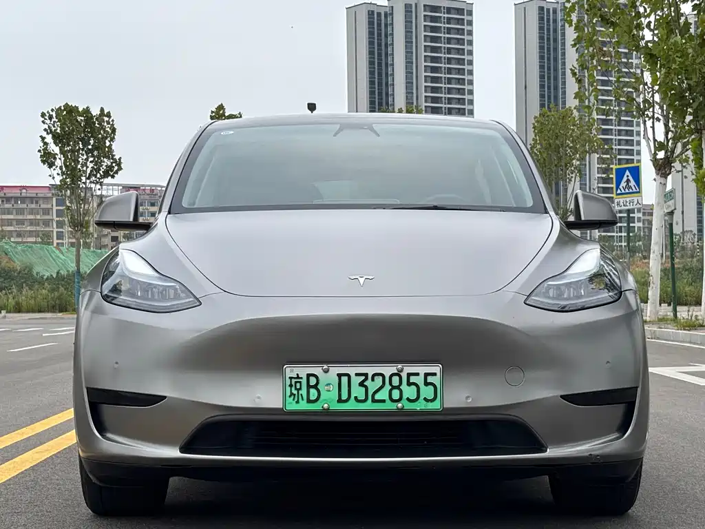 Tesla Model Y — миниатюра 2