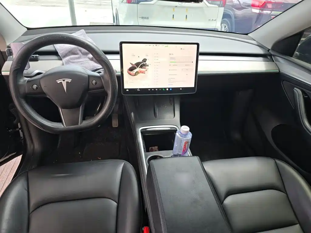 Tesla Model Y — миниатюра 5
