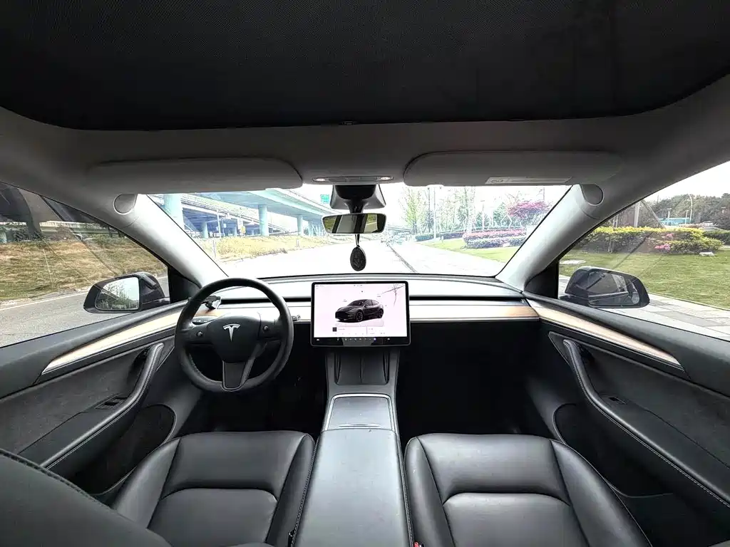 Tesla Model Y — миниатюра 8