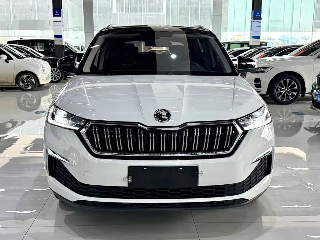 Skoda Kamiq — миниатюра 2