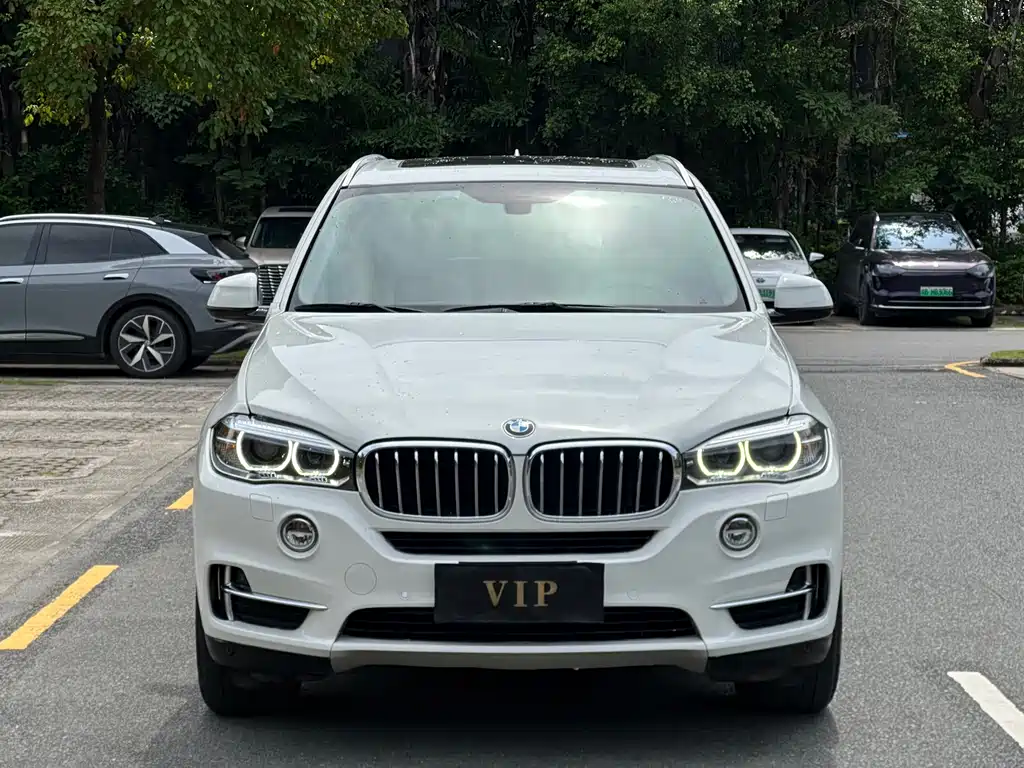 BMW X5 (Import) — миниатюра 2