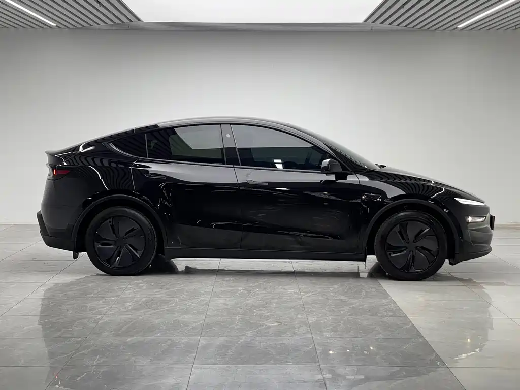 Tesla Model Y — миниатюра 8