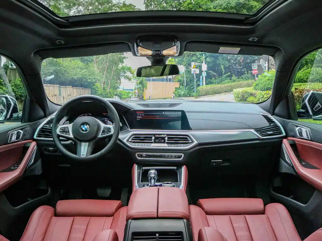BMW X6 2021 xDrive30i M Sport